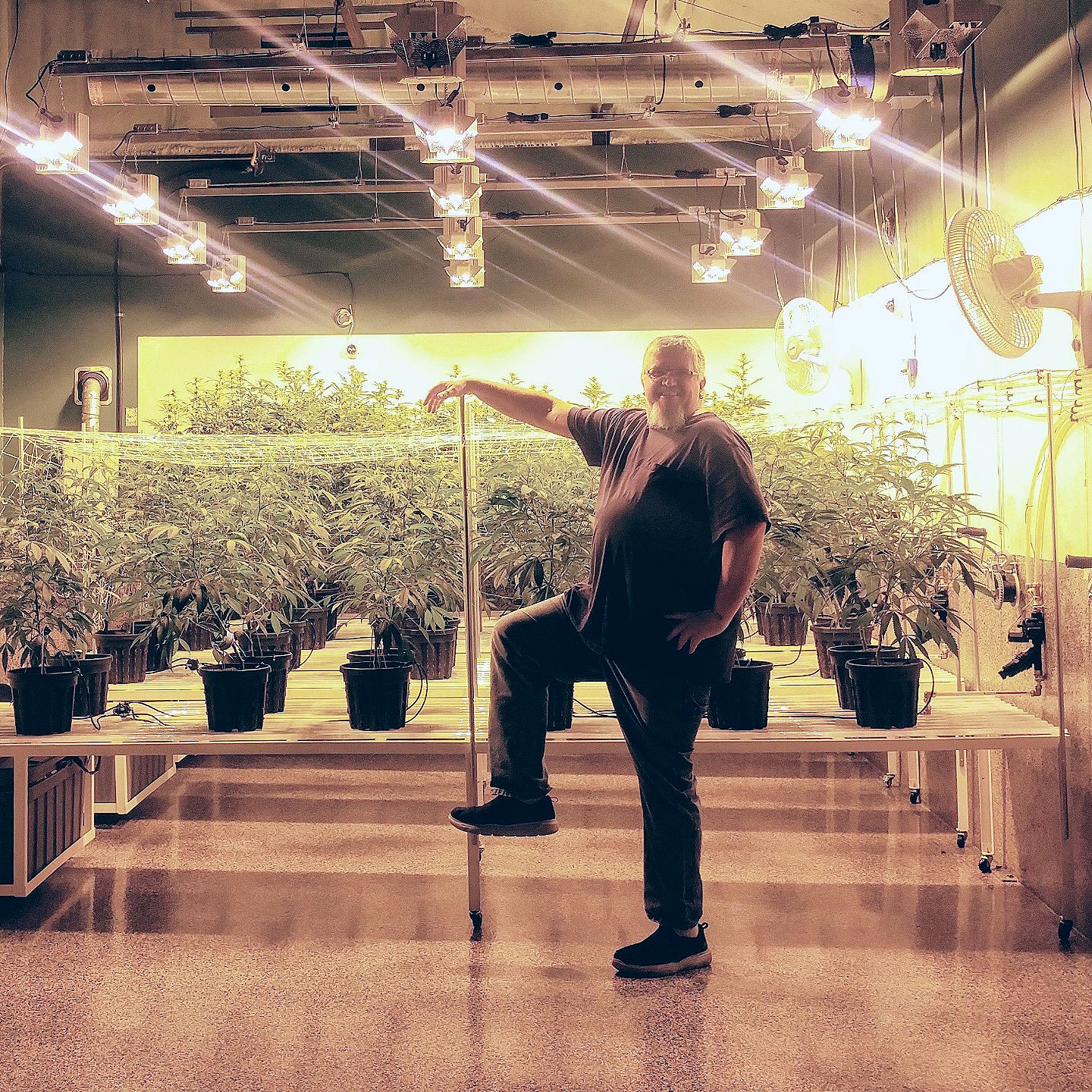 Peace Frog Botanicals